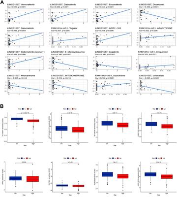 Prognosis and immune response of a cuproptosis-related lncRNA signature in low grade glioma